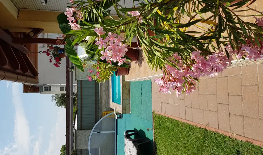 Napsug�r Resort Si�fok - Szilveszter (min. 2 �j)