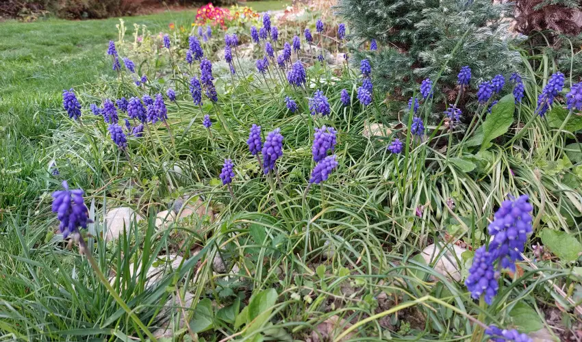 Négy Évszak Apartmanház Zalakaros Zalakaros - Szilveszter (min. 2 éj)