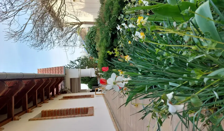 Négy Évszak Apartmanház Zalakaros Zalakaros - Szilveszter (min. 2 éj)