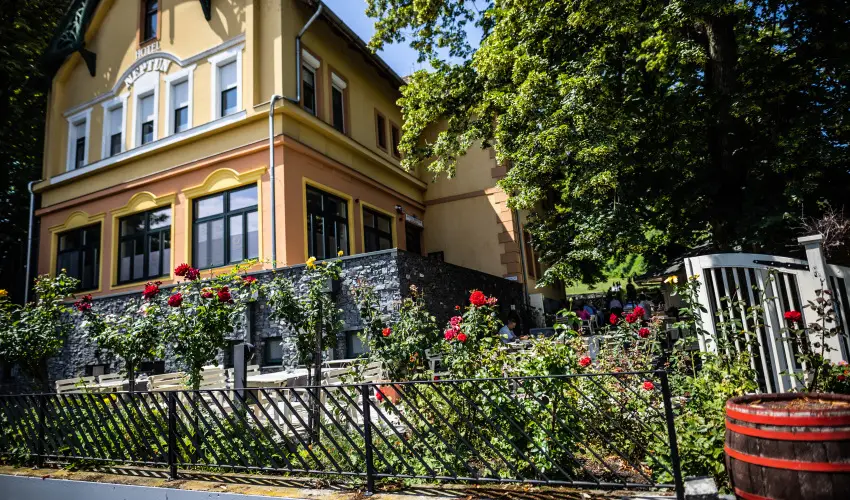 Neptun Badacsony Badacsony - Szilveszter