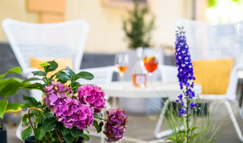 Neptun Badacsony Badacsony - Szilveszter