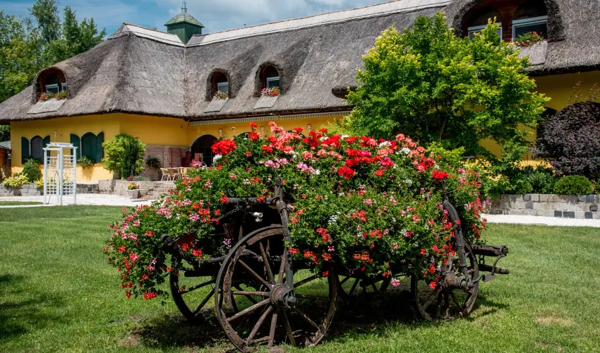 Nyerges Hotel Term�l Monor - Szilveszter