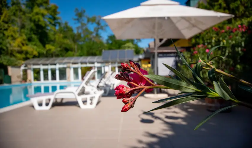 Nyerges Hotel Term�l Monor - Szilveszter