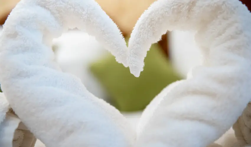 Nyerges Hotel Term�l Monor - Szilveszter