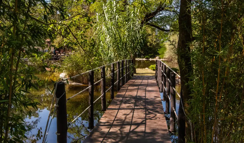 Nyerges Hotel Term�l Monor - Szilveszter