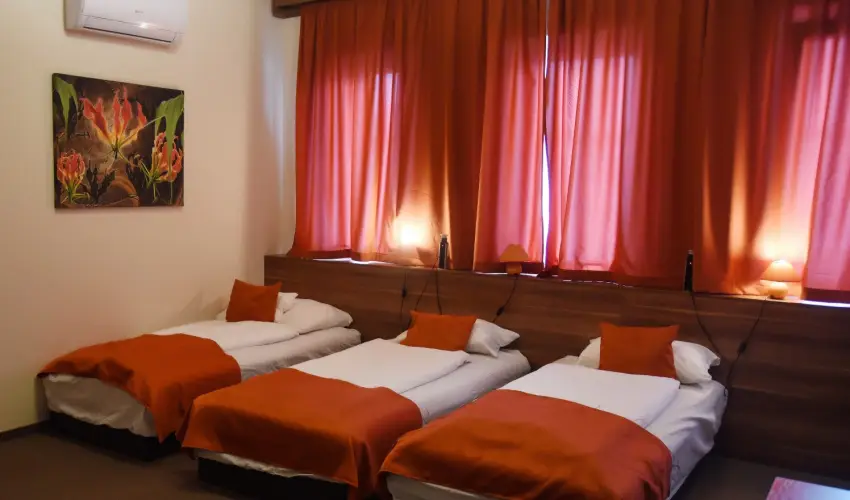 Ozis Wellness Panzi Szigetszentmikls - Szilveszter (min. 2 j)