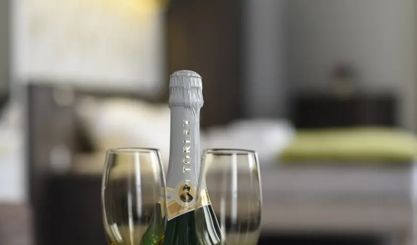 Ozis Wellness Panzi Szigetszentmikls - Szilveszter (min. 2 j)