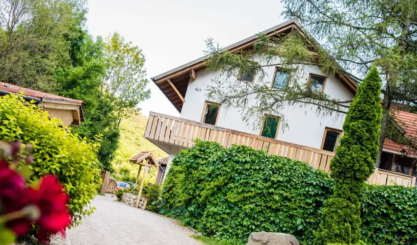 ko-Park Panzi Szarvask - Szilveszter 