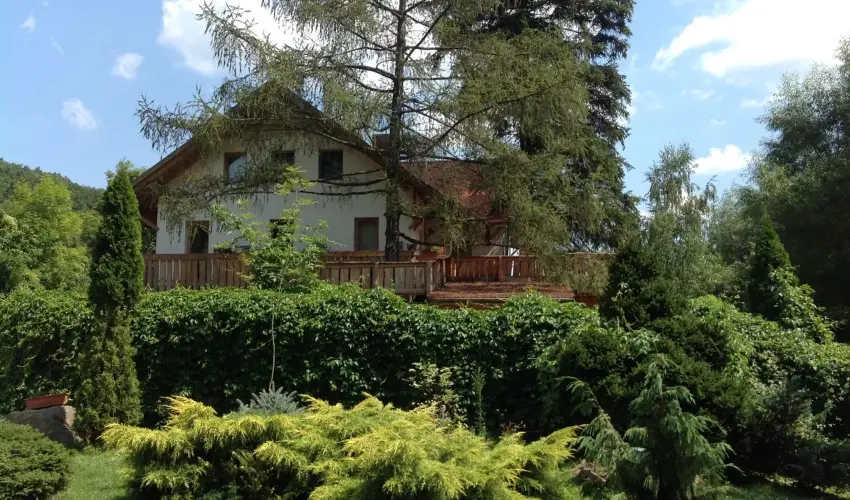 ko-Park Panzi Szarvask - Szilveszter 