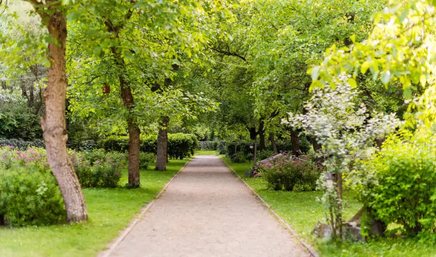 ko-Park Panzi Szarvask - Szilveszter 