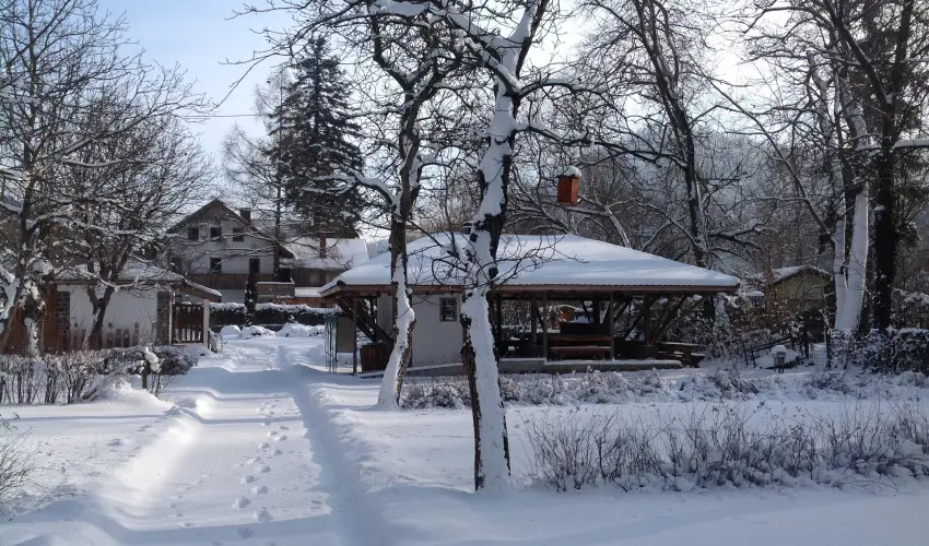 ko-Park Panzi Szarvask - Szilveszter 