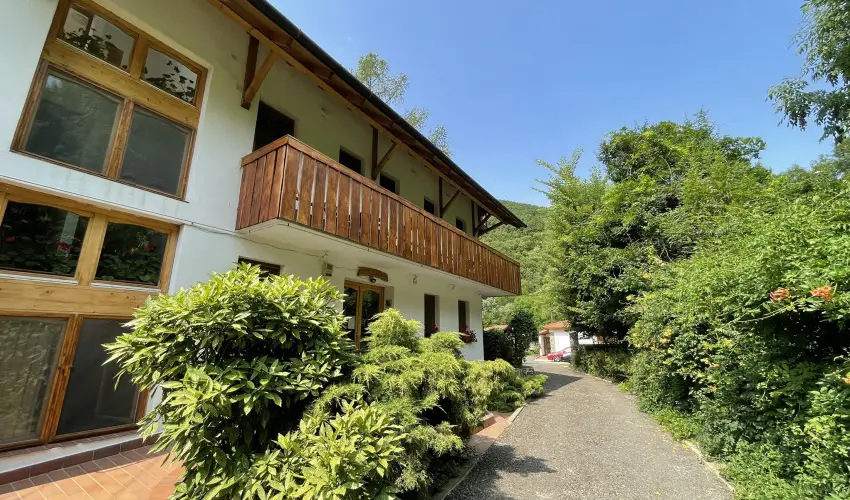 ko-Park Panzi Szarvask - Szilveszter 