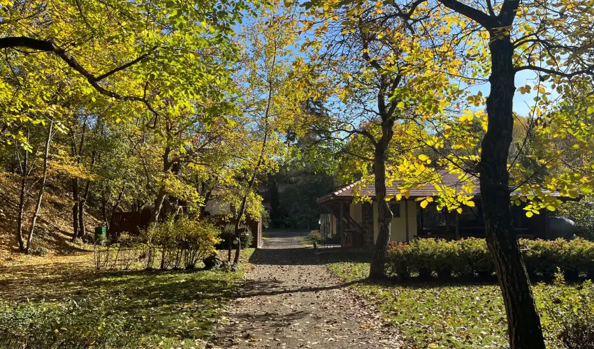 ko-Park Panzi Szarvask - Szilveszter 