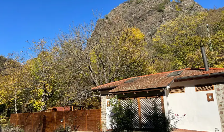 ko-Park Panzi Szarvask - Szilveszter 