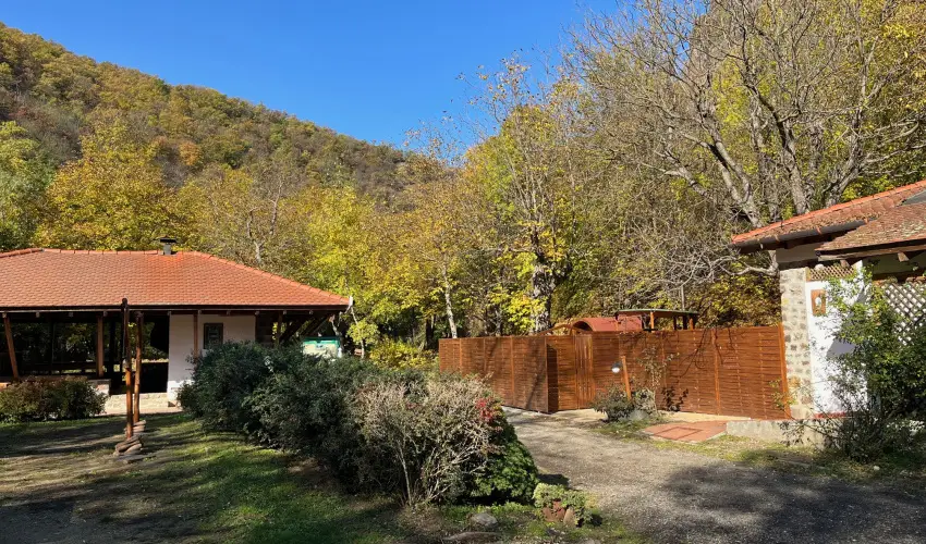 ko-Park Panzi Szarvask - Szilveszter 