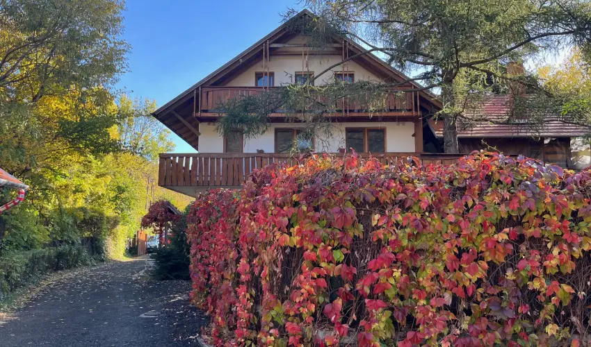 ko-Park Panzi Szarvask - Szilveszter 