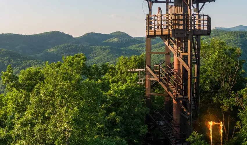 ko-Park Panzi Szarvask - Szilveszter 
