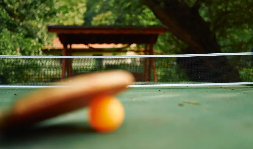 ko-Park Panzi Szarvask - Szilveszter 