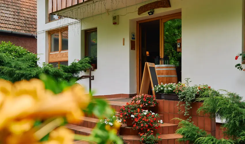 ko-Park Panzi Szarvask - Szilveszter 