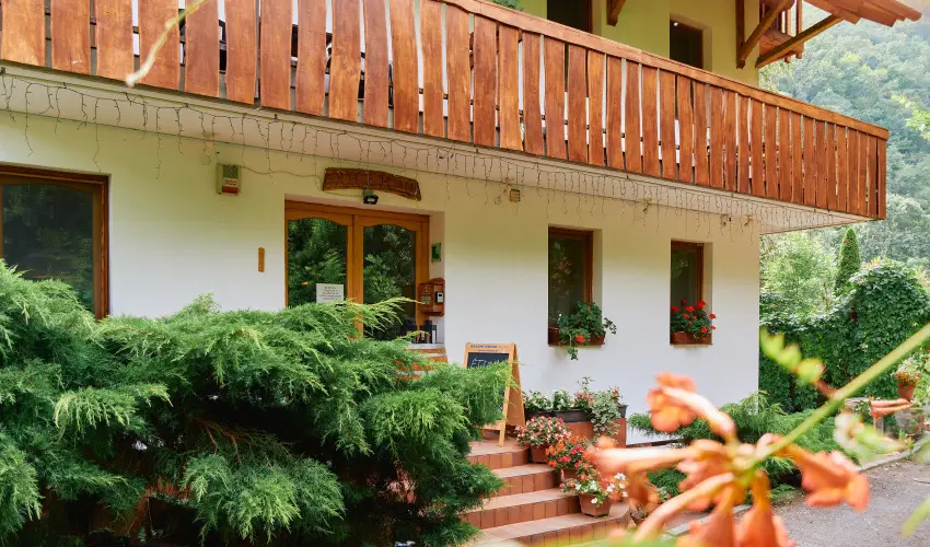 ko-Park Panzi Szarvask - Szilveszter 