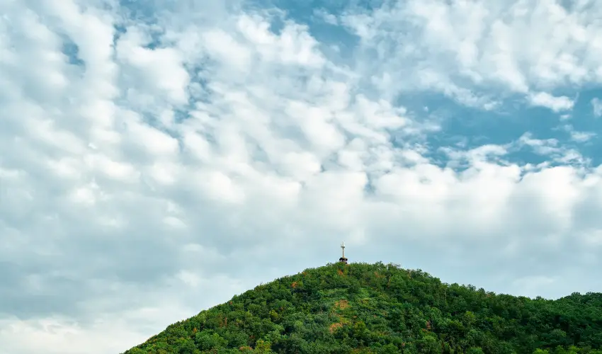 ko-Park Panzi Szarvask - Szilveszter 