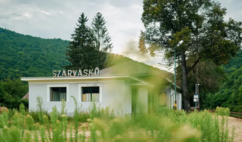 ko-Park Panzi Szarvask - Szilveszter 
