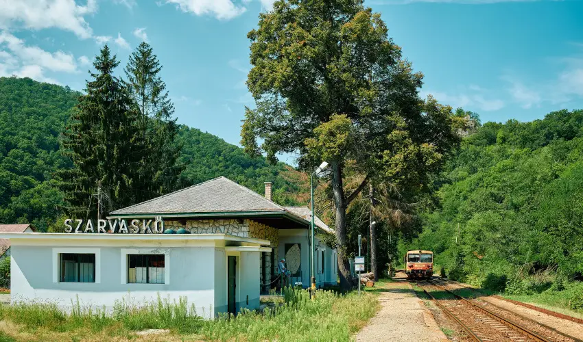 ko-Park Panzi Szarvask - Szilveszter 