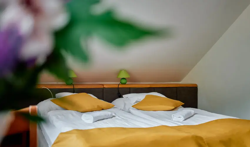 ko-Park Panzi Szarvask - Szilveszter 