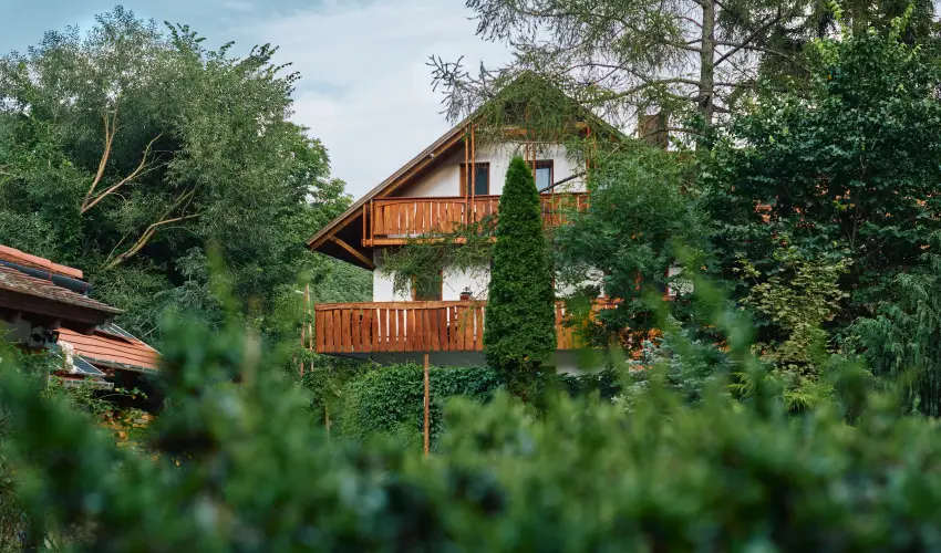 ko-Park Panzi Szarvask - Szilveszter 