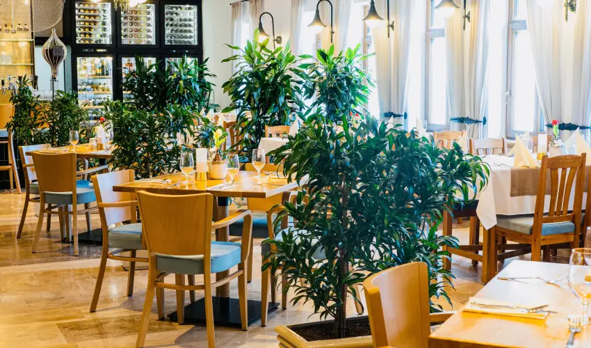 reg Halsz tterem s Fogad Tt - Szilveszter