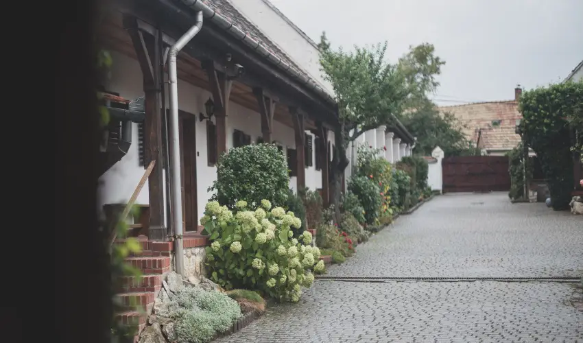 reg Prs Butikhotel Mr - Szilveszter