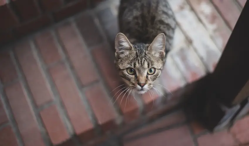 reg Prs Butikhotel Mr - Szilveszter