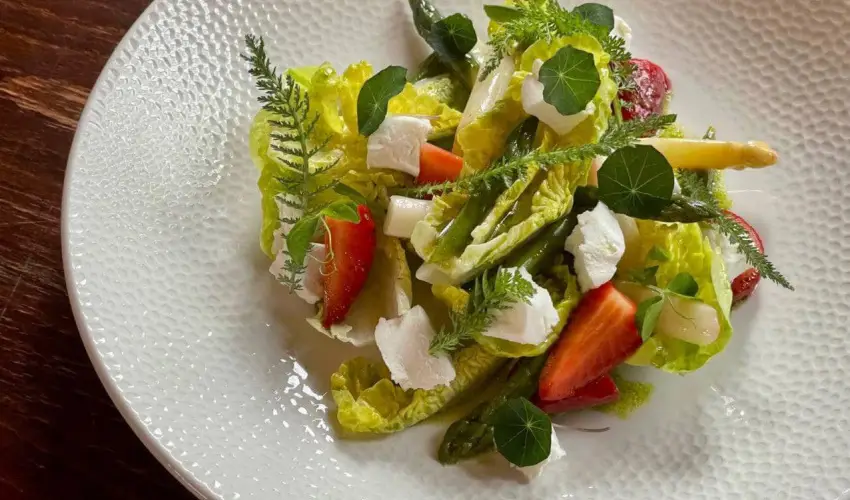 reg Prs Butikhotel Mr - Szilveszter