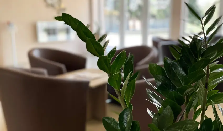 reg-t Hotel Tata - Szilveszter