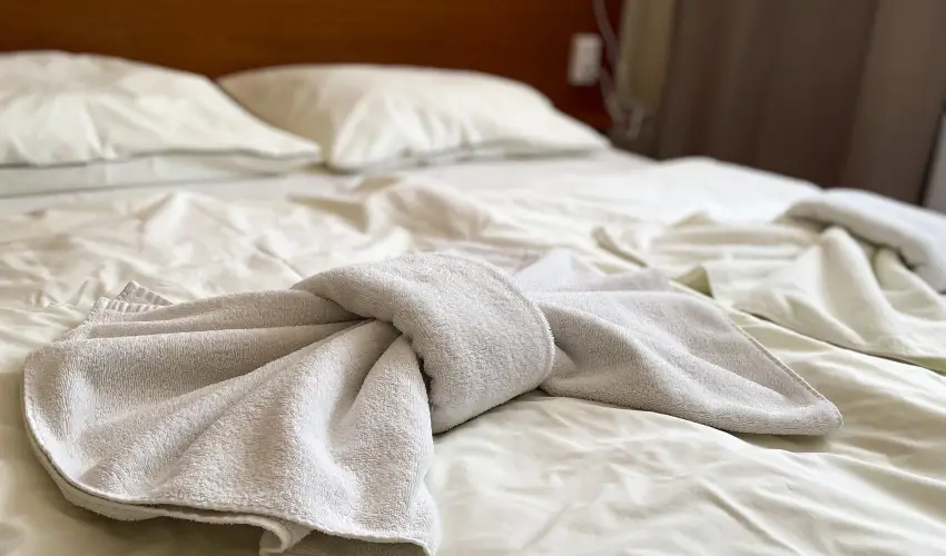 reg-t Hotel Tata - Szilveszter