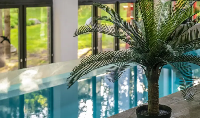Oxig�n Family Hotel Noszvaj - Szilveszter