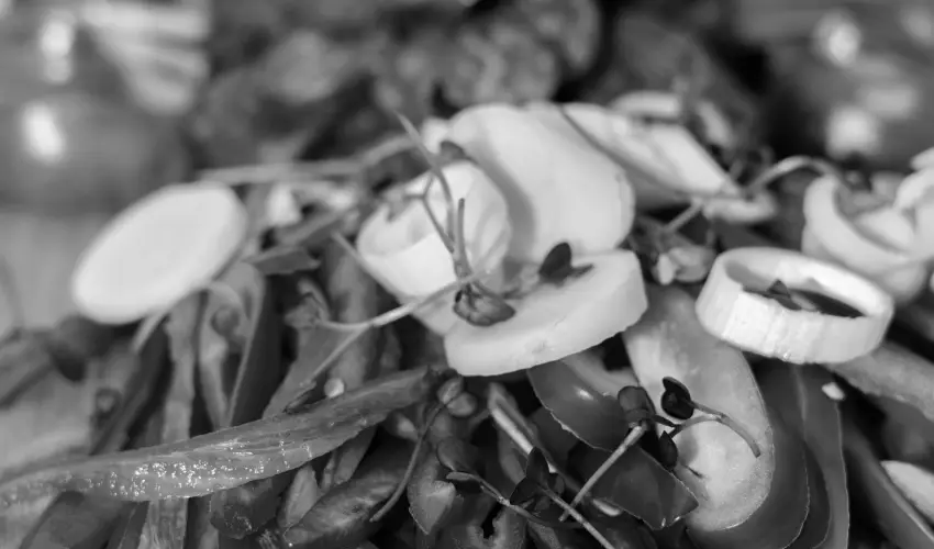 Oxigén Family Hotel Noszvaj - Szilveszter (min. 2 éj)