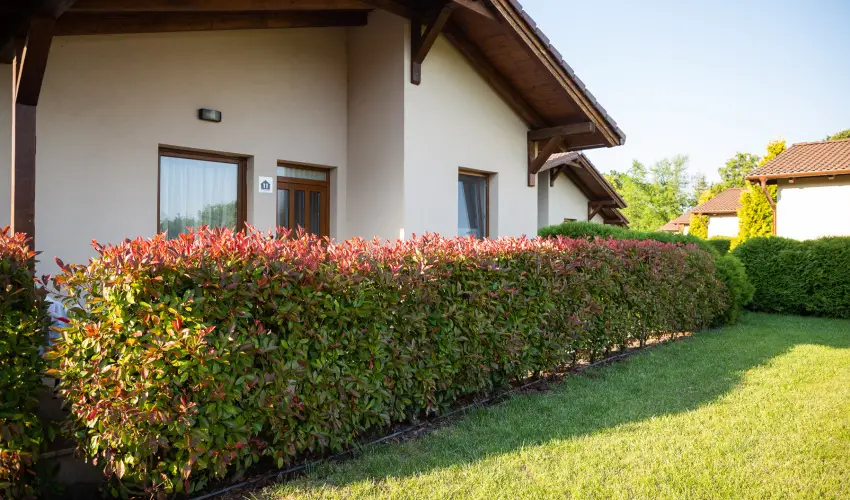 Pandora Zsry Apartmanok Mezkvesd - Szilveszter