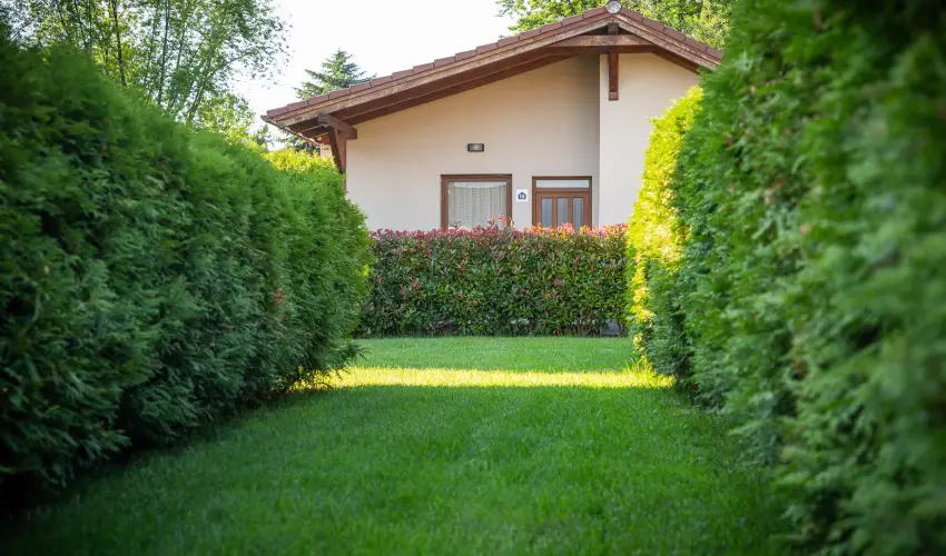 Pandora Zsry Apartmanok Mezkvesd - Szilveszter