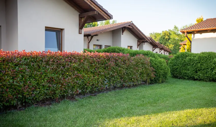 Pandora Zsry Apartmanok Mezkvesd - Szilveszter