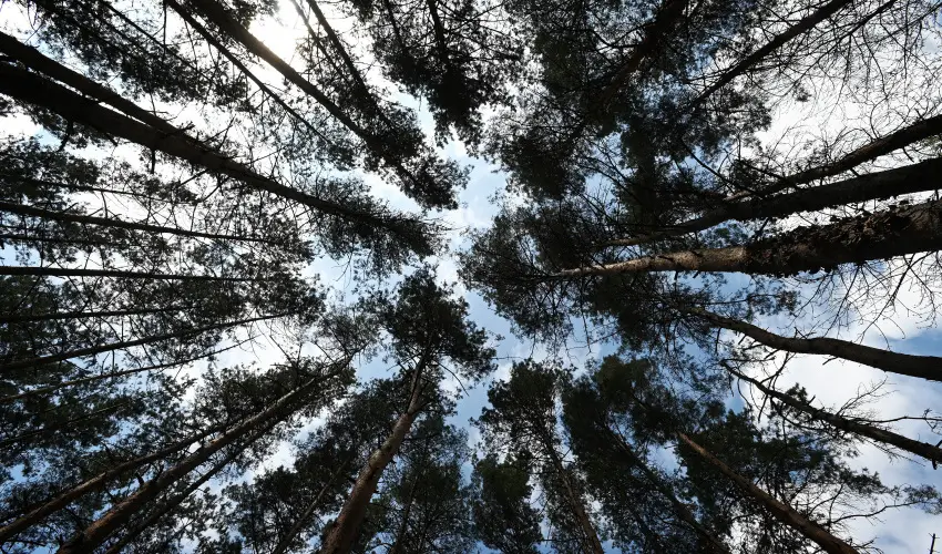 Panoráma Hotel Noszvaj Noszvaj - Szilveszter (min. 3 éj)