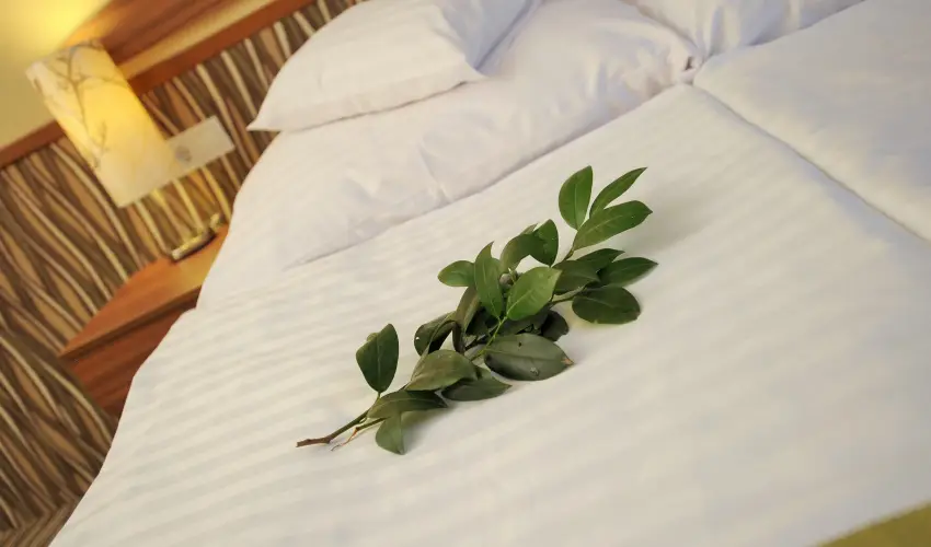 Park Hotel Gyula Gyula - Szilveszter (min. 3 �j)