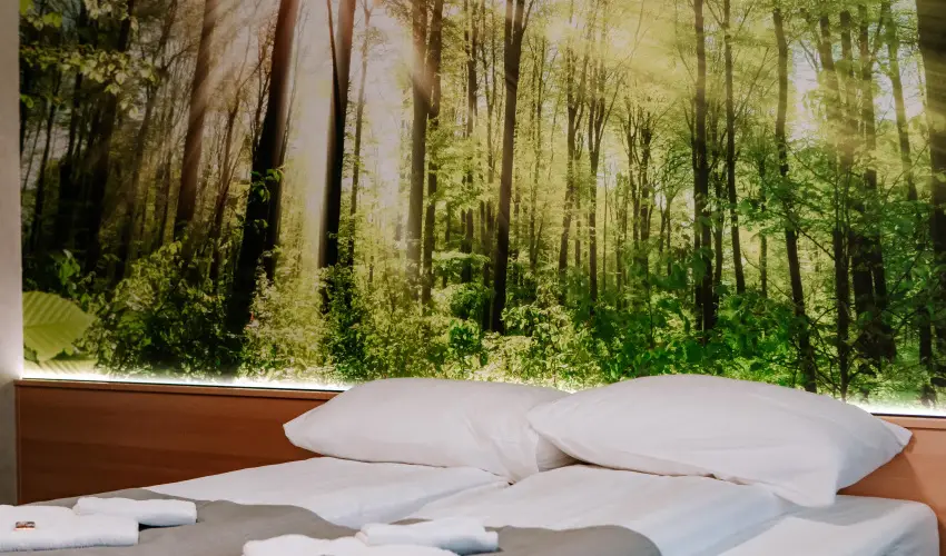 Park Hotel Sst Nyregyhza - Szilveszter (min. 2 j)