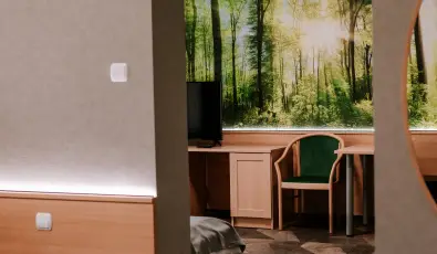 Park Hotel Sst Nyregyhza