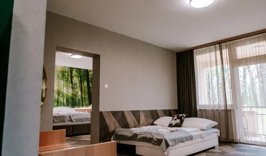 Park Hotel Sst Nyregyhza - Szilveszter (min. 2 j)