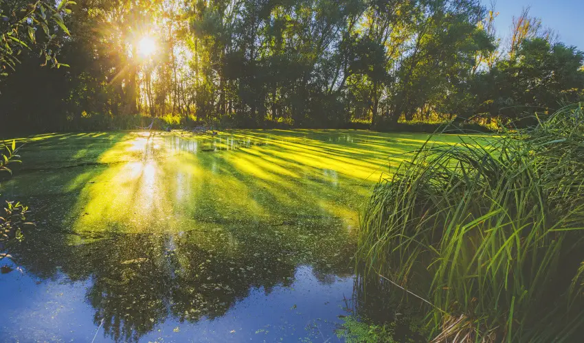 Park Inn by Radisson Zalakaros Resort & Spa Zalakaros - Bcszz stlusosan, kezdj feltltdve! (min. 3 j)