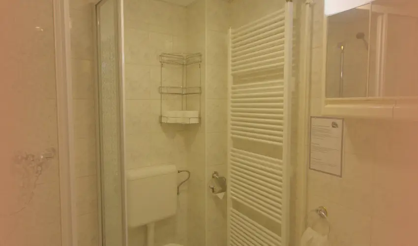 Hotel Vad�szk�rt Sz�kesfeh�rv�r - Szilveszter