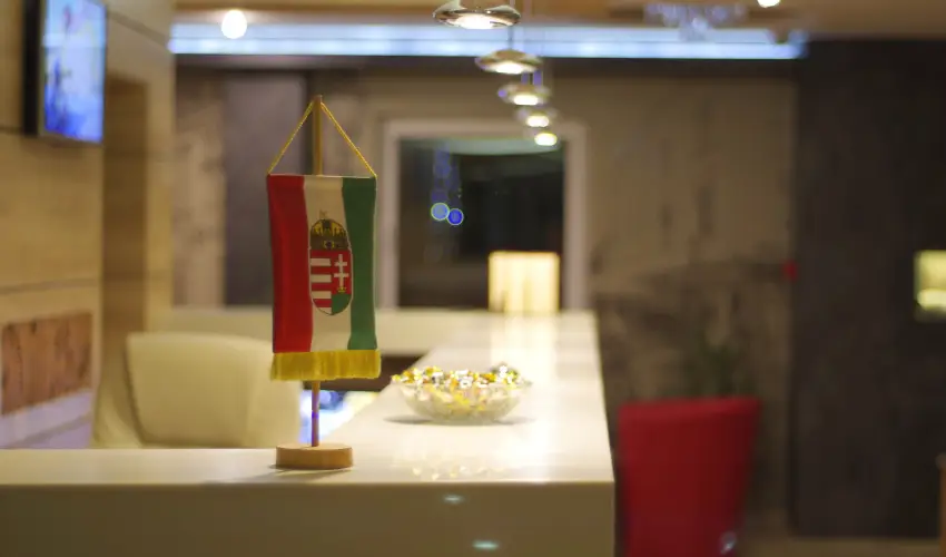 Hotel Vad�szk�rt Sz�kesfeh�rv�r - Szilveszter