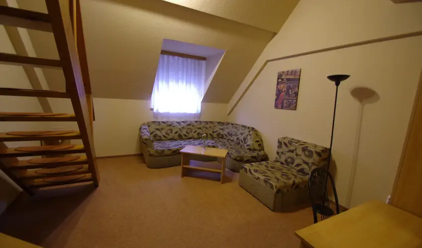 Hotel Vad�szk�rt Sz�kesfeh�rv�r - Szilveszter