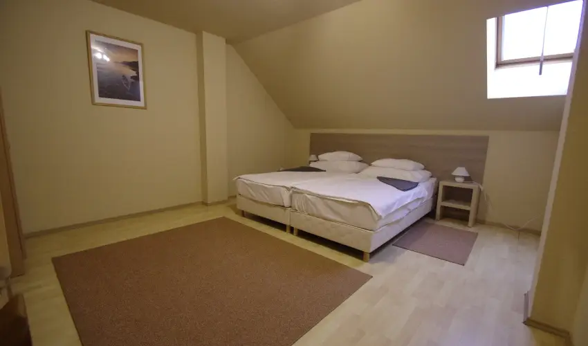 Hotel Vad�szk�rt Sz�kesfeh�rv�r - Szilveszter